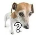 question question