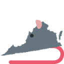 rat_Virginia