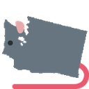rat_Washington