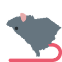 rat_South_Carolina
