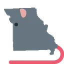 rat_Missouri