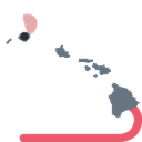 rat_Hawaii