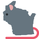 rat_Wisconsin