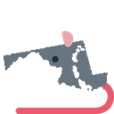 rat_Maryland