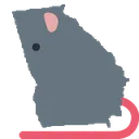 rat_Georgia