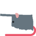 rat_Oklahoma