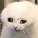 crying_inside