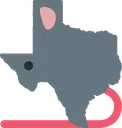 rat_Texas