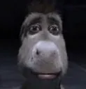 donkey