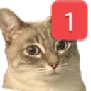 Catping Discord Emoji