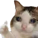 Cry Thumbs Up CryThumbsup Discord Emoji