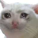 15 15