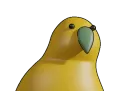 3dparrot