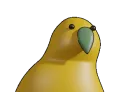 3dspinparrot