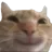 catsmil