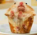 hamstermuffin
