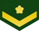 army