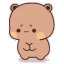 NC_Bear_Shy