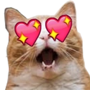 CatHeartEyes Discord emoji