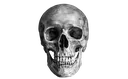skull2