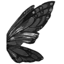 6031blackbutterflywingright