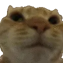 catno