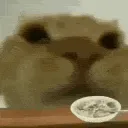 gusiccerealfast