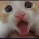 CIyooo CIyooo