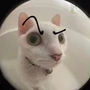 CIverysuspicious CIverysuspicious