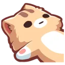 sleep