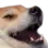 Bruh