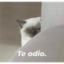odio_FDB Discord emoji