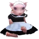 maidbingus
