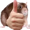 faustthumbsup faustthumbsup