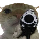 gusicgun