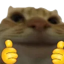 gusicdoublethumbsup