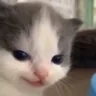 evil_hehe