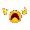 xnopyt