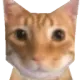 quevesramirez