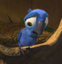 WorriedbabyBlu Discord emoji