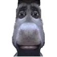 jimmyhDespair