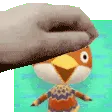 petbirb
