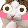 Catplushed Catplushed