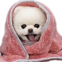 pongCozy pongCozy