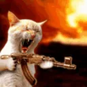 PotatoCatShoot