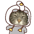 carpe_waddlelol