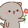 carpe_Phool