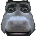 Domskieface
