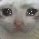 catemo