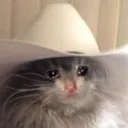 Sadcowboy